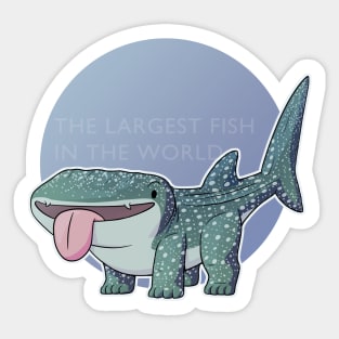 Whale Sharkpup 'Largest fish' Sticker